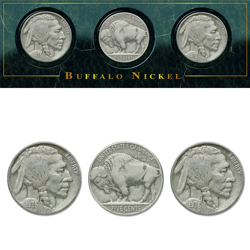 Verzamelbare munten van Amerika - Buffalo Nickel Set